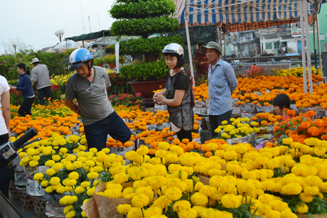 Nhiều người nơi xa đổ sô lên sài gòn mua hoa tết năm nay